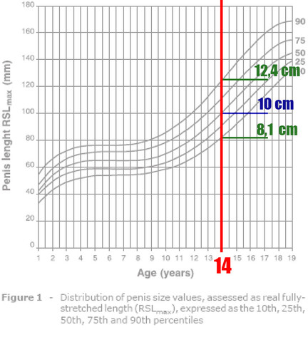 Penisgröße mit 14 Jahren - (Penis, Umfang)