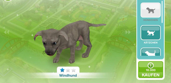 Sims Freeplay Windhund Welpe 10.000 Simoleons - (Spiele, Sims)
