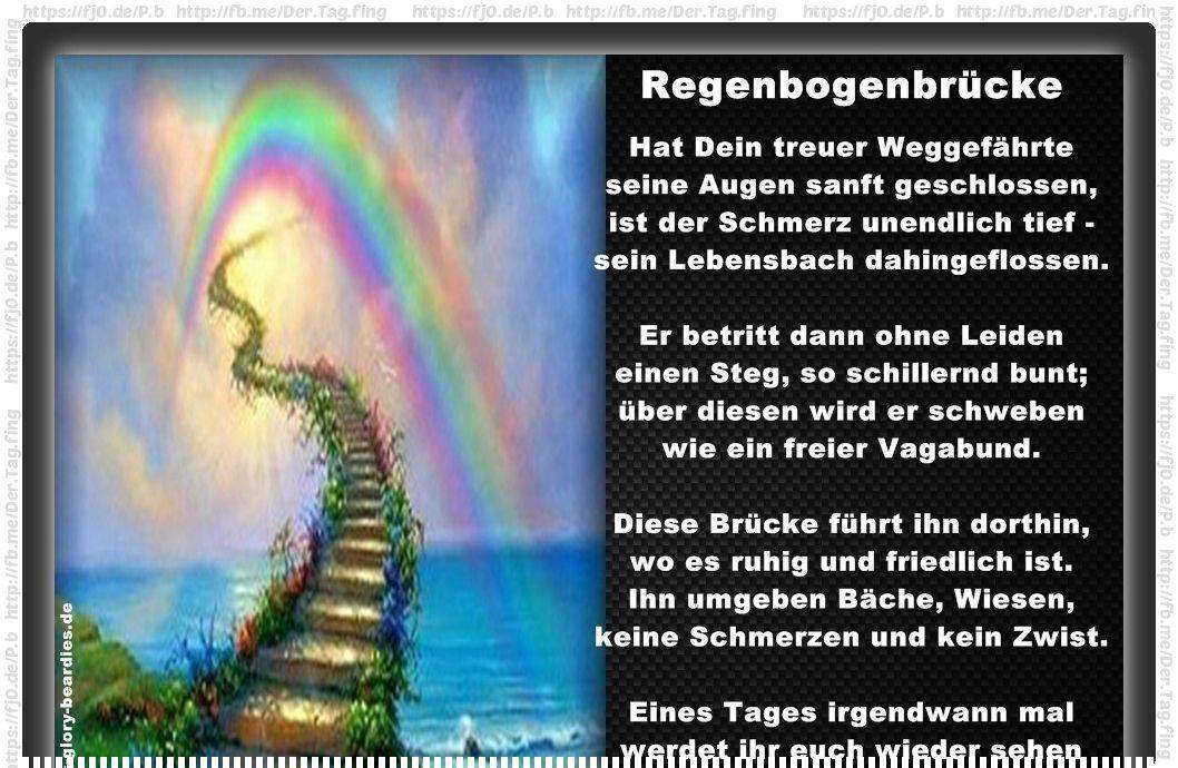 Mein Hund ist letztens gestorben? (tot)