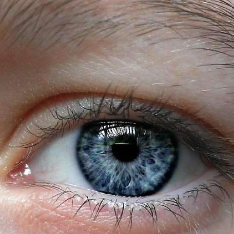 Biiild - (Augen, Augenfarbe)
