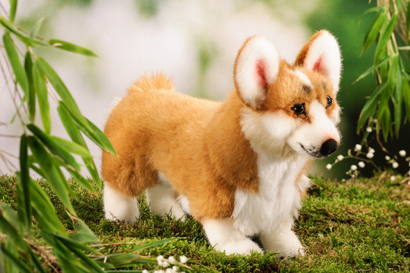 Kostüme für Hunde (Hund, Kostüm)