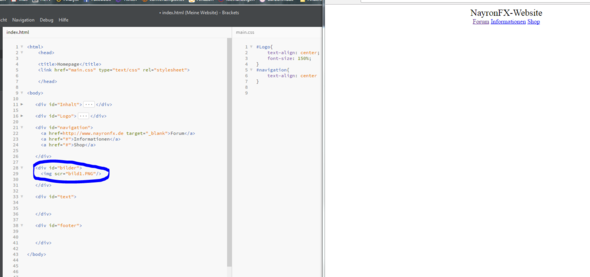 - (programmieren, Website, html)