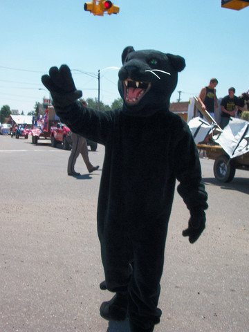 Ich als Panther auf einer Parade - (Job, Maskottchen)