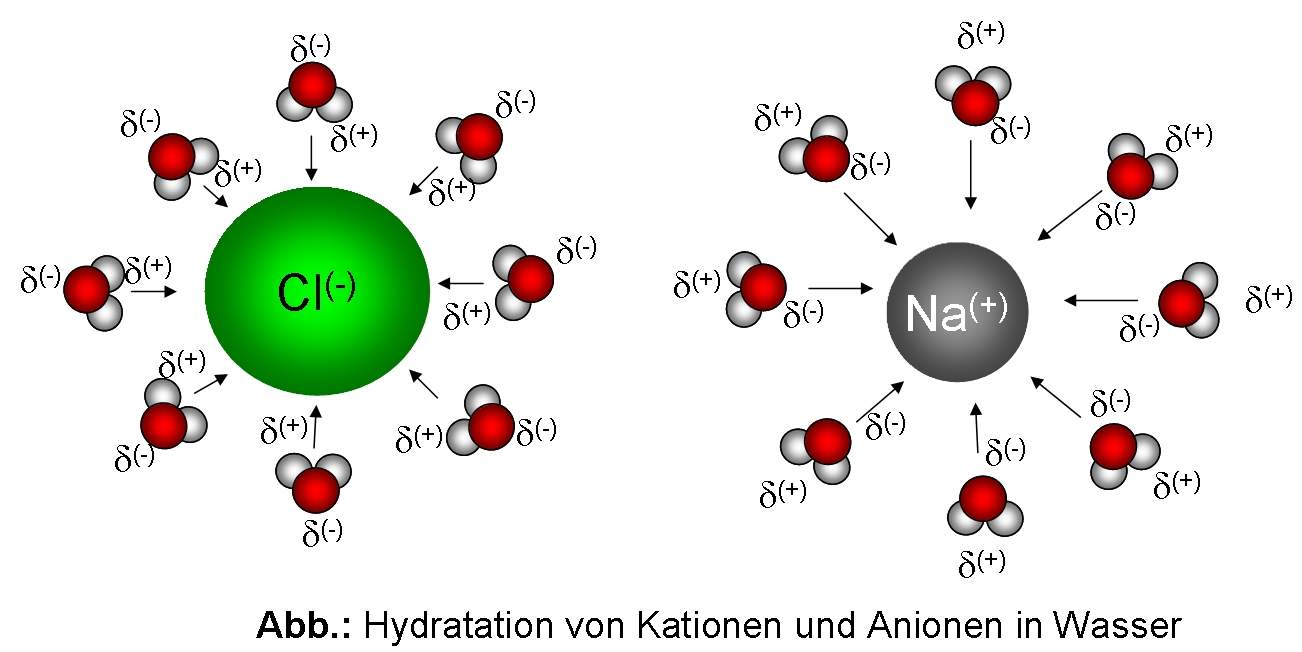 Kann mir jmd den beim Lösen eines Salzes im Wasser beschreiben? (Schule, Physik, Chemie) Kann mir jmd den beim Lösen eines Salzes im Wasser beschreiben? (Schule, Physik, Chemie)