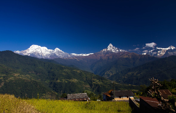- (wandern, Nepal, Himalaya)