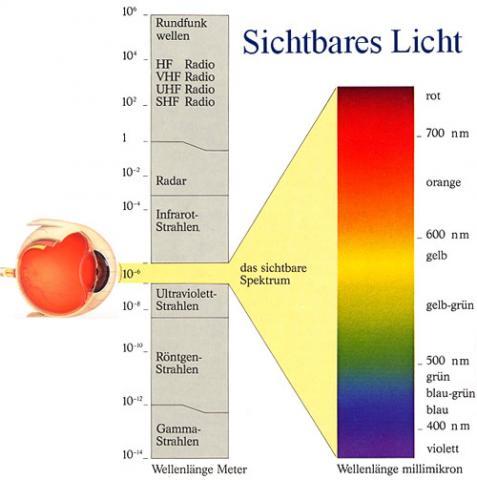 Bild 2 - sichtbares Licht - (Physik, Biologie)