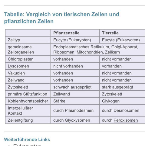 Biologie Zellorganellen  Biologie Zellorganellen