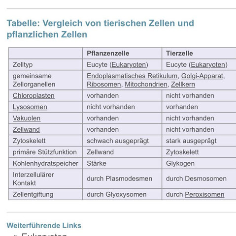 Tabelle - (Biologie, Zellorganellen)