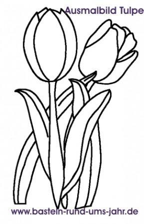 Ausmalbild Tulpe von www.basteln-rund-ums-jahr.de - (Kindergarten, Ostern)