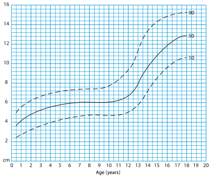 Breite durchschnitt penis Penisgröße: Was
