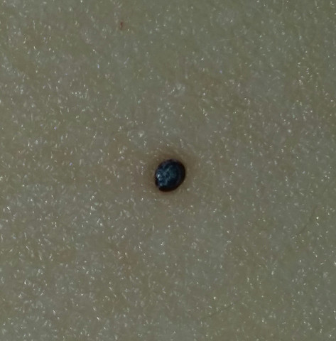 Wer würde eher fragen Wer würde eher fragen