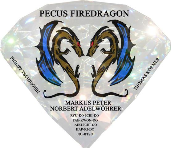 Pecus Firedragon - (Kampfkunst, Jiu-Jitsu, Dan Grade)
