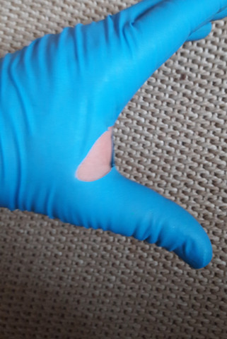 Handschuhe - (Haushalt, putzen)
