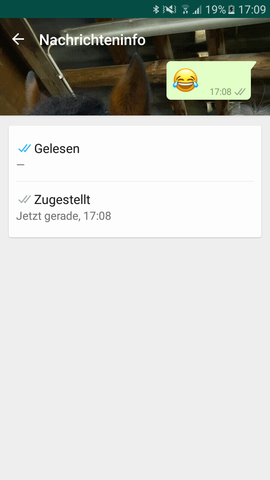 Meist du das? - (WhatsApp, Blaue Häkchen )