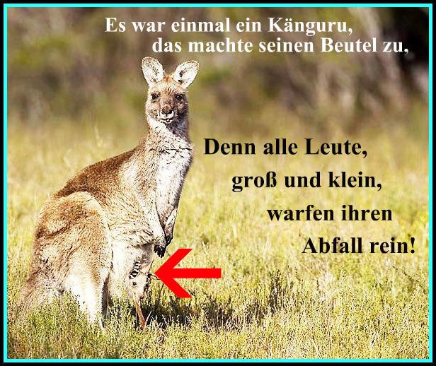 Wer kennt kluge oder/und kurze Reime/Sprüche? (Freizeit, Sprüche, reim)