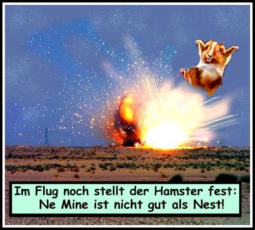 Lustige Spruche Mit Reim Lustige Sprüche