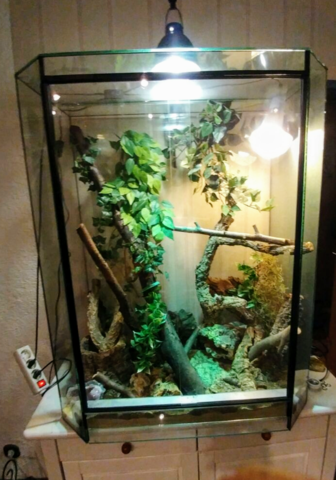 Da hatten wi - (Tiere, Tierarzt, Terrarium)