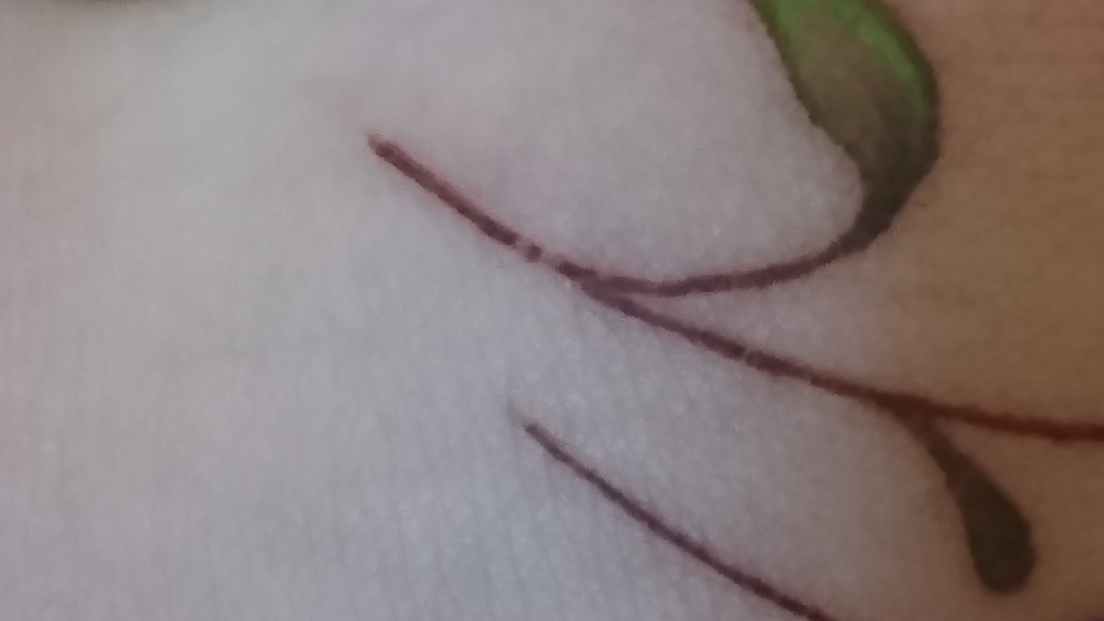 Tattoo Kruste, Hilfe? (Haut, Heilung)