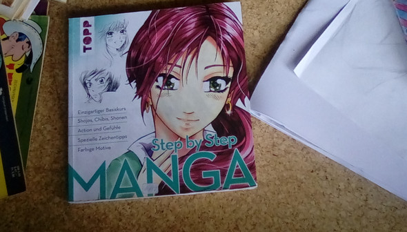 Das ist das Buch - (Manga, zeichnen)