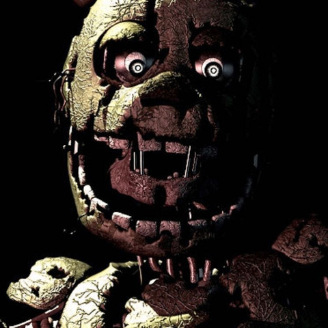             - (Computer, Games, Five Nights at Freddy's)