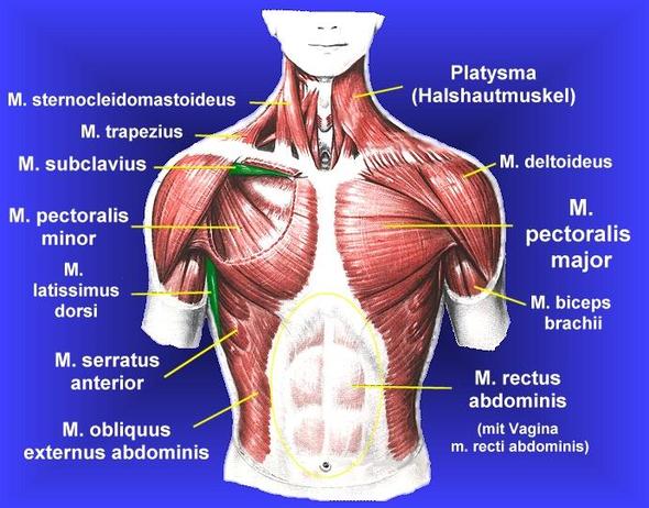 Medizinische Frage. Ist es was ernsthafest womit man zum Arzt gehen ...