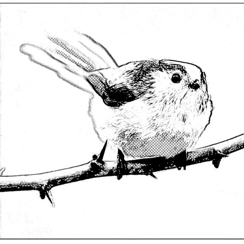 Bleistift - (Bilder, App, Zeichnung)