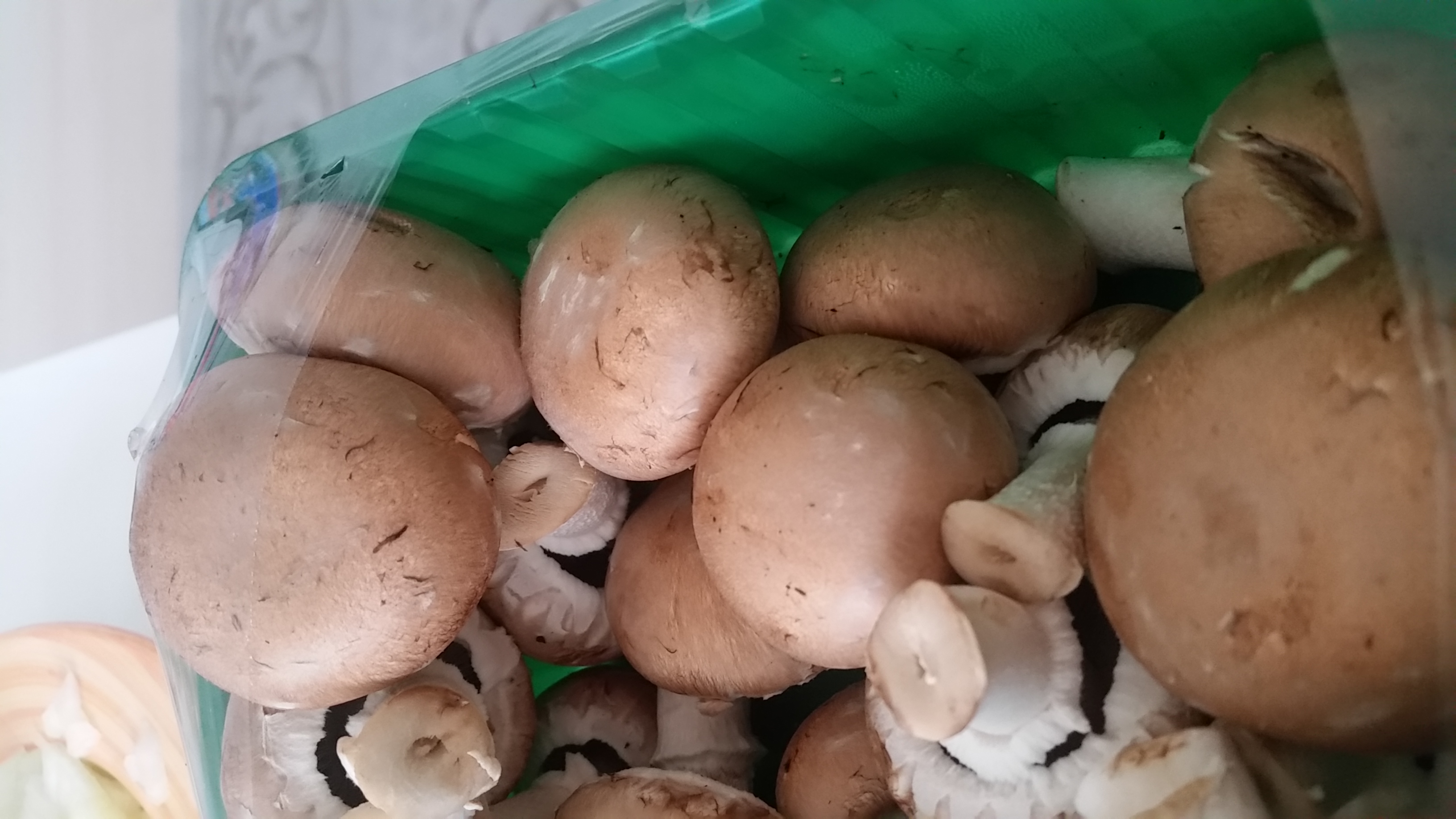 Champignons Schimmel oder Pilzmyzel? (Lebensmittel, Hygiene)