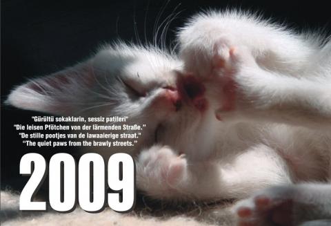 Kalender 2009 "Die leisen Pfötchen von der lärmenden Strasse" - (Tiere, Katzen, Kater)