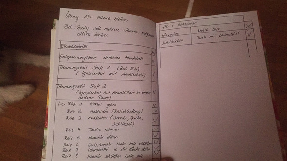 Trainingsplan - (Hund, Haus, Erziehung)