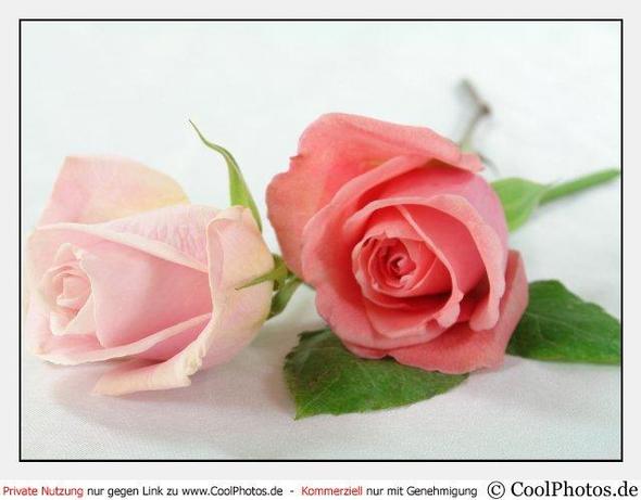 Coolphotos Geburtstag Ecards Humorvolle Geburtstagskarten