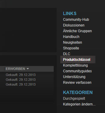 Steam Key Anzeigen Computer Gaming Ubisoft