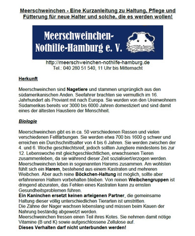 - (Wohnung, Meerschweinchen, zu Hause)