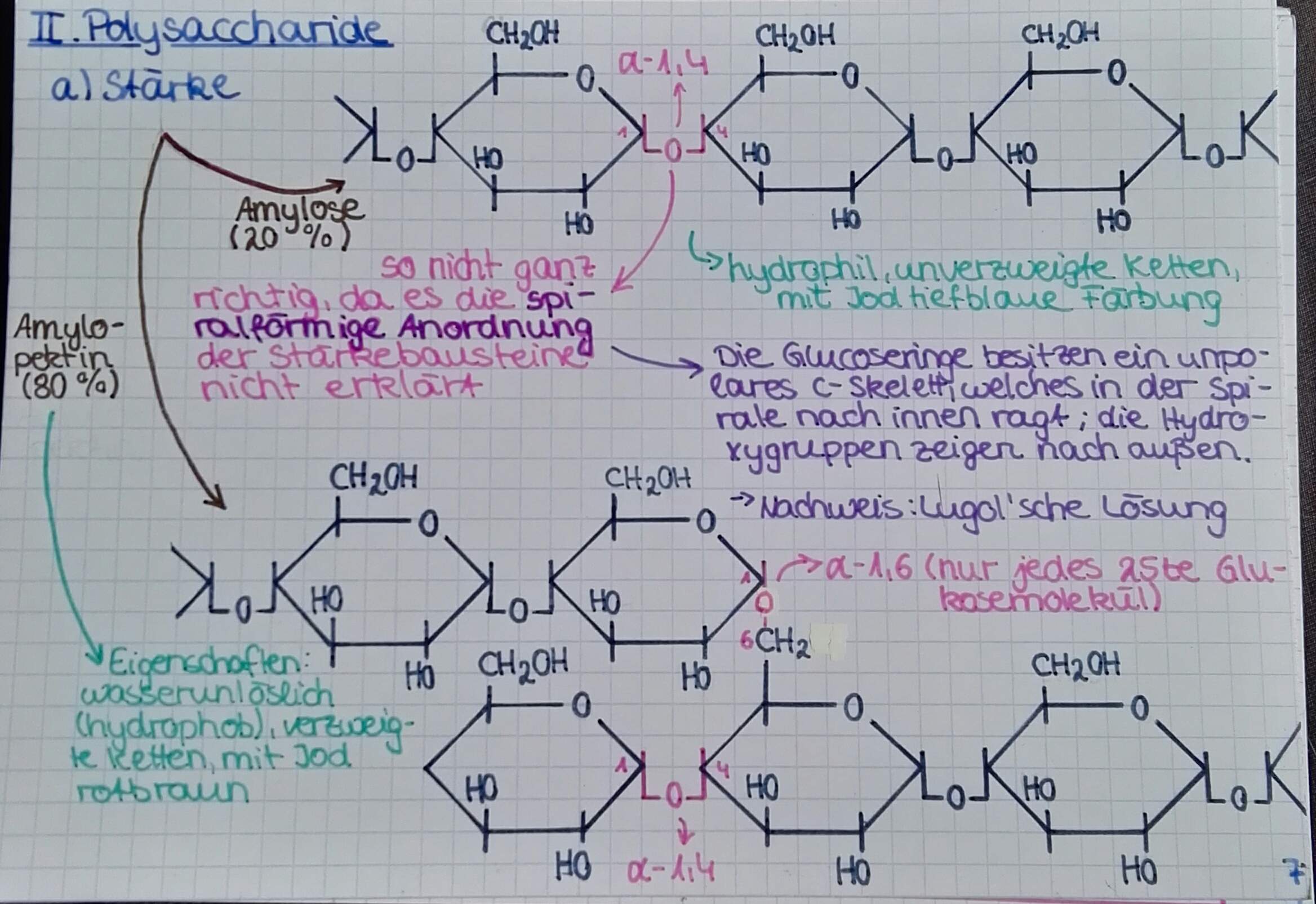 Warum reagiert die Stärkenachweisreaktion (Iod-Kaliumiodid-Lösung) mit Cellulose negativ ...