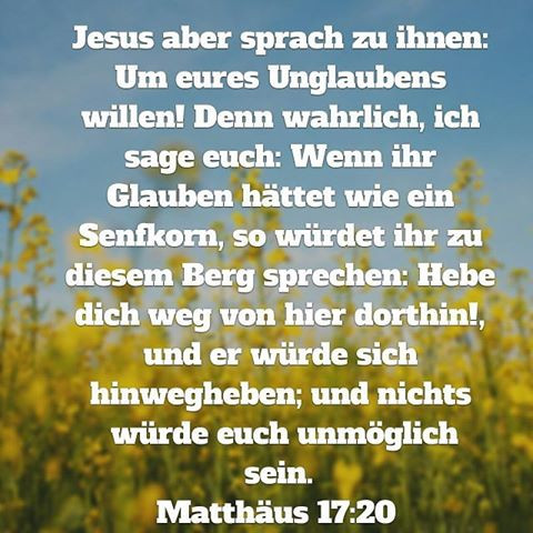 Schones Zitat Fur Abschluss Schule Shahrukh Khan Zitate Solange Ich Lebe Michel De Montaigne