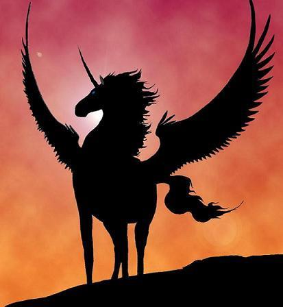 Hi Wie Heisst Ein Einhorn Mit Flugeln Wissen Flugel