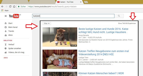 Guten Tag Seit Kurzem Wird Mir Bei Google Chrome Bei Suchanfragen