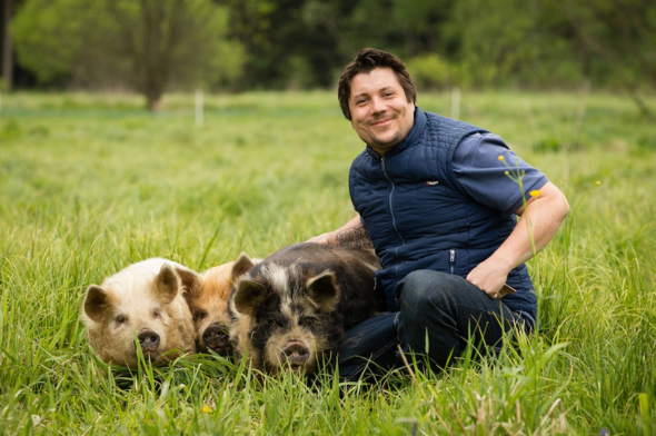 Kune Kune Schweine in der Edermühle im Waldviertel - (Bayern, Schwein, Bauernhof)