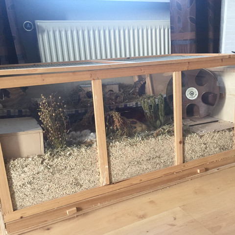 Mein Gehege - (Haustiere, Hamster, Zwerghamster)