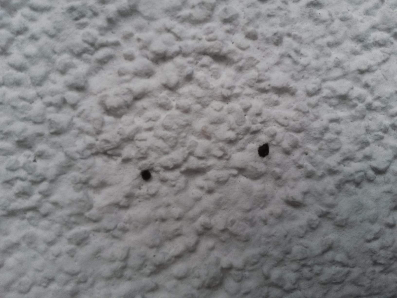 Kleine Schwarze Punkte An Der Wand