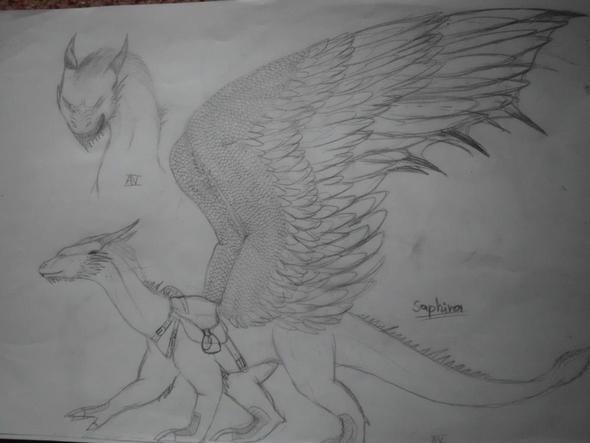 Saphira aus dem Film Eragon - (Kunst, zeichnen, Drachen)