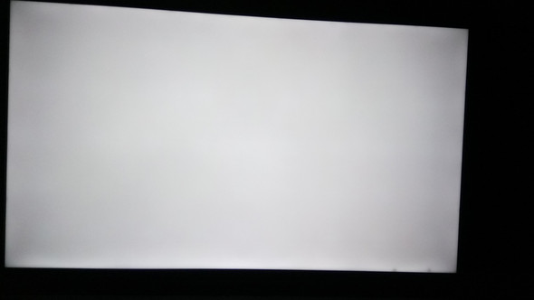 Zwei tote Insekten am unteren Bildschirmrand.   - (Technik, Samsung, TV)