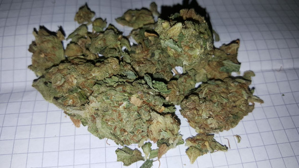 Hier ein Bild von einer sehr berauschenden und potenten Blüte - (Spanien, Cannabis)