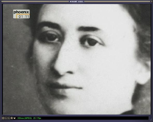 Rosa Luxemburg ermordet im auftrag von Hugo Stinnes bzw. dem deutschen Kapital - (Politik, Strafrecht, Staat)