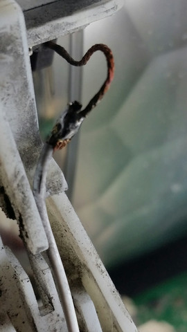 Repariertes Kabel an der Kohlebürste der Trommel T8627WP - (Störung, Trockner)