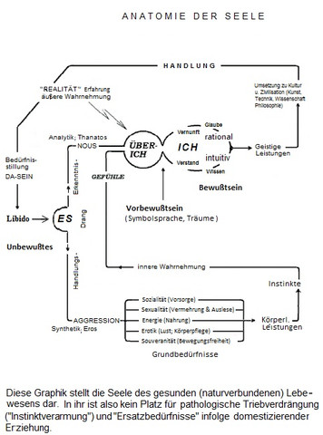 Freuds 3 Instanzen Modell - (Psychologie, Familie, Traumdeutung)