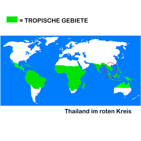 Die tropischen Gebiete der Welt - (Thailand, tropen)