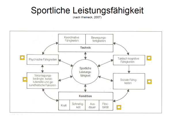 Was spielt alles in deinen Erfolg mit hinein... - (Training, Trainingsplan)