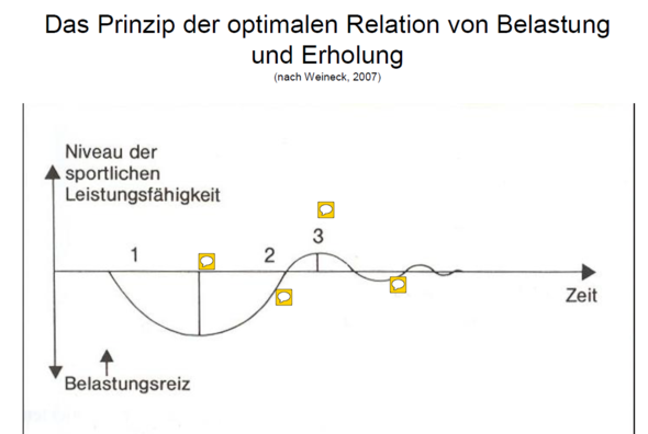 Hier siehst du Hyperkompensation, und warum Pausen wichtig sind - (Training, Trainingsplan)
