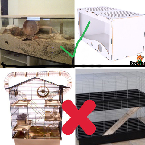 21 Neu Chinchilla Käfig Einrichtung Kaufen Grafiken 21 Neu Chinchilla Käfig Einrichtung Kaufen Grafiken