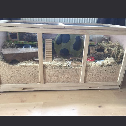 21 Neu Chinchilla Käfig Einrichtung Kaufen Grafiken 21 Neu Chinchilla Käfig Einrichtung Kaufen Grafiken